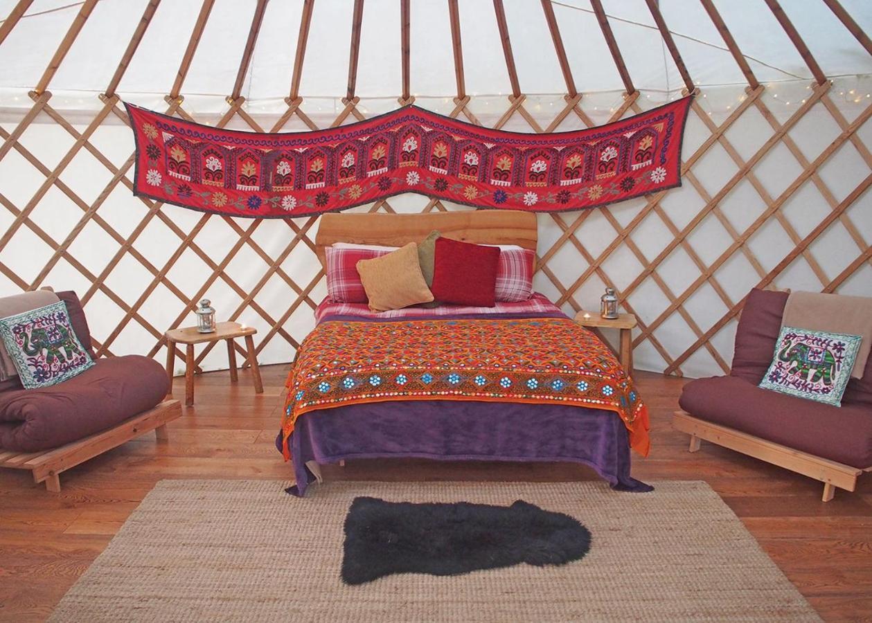 Florence Springs Glamping Gumfreston Dış mekan fotoğraf