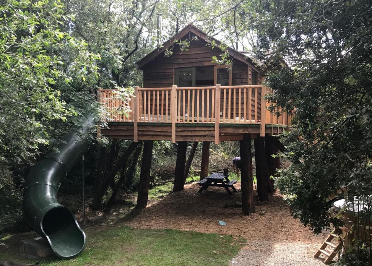 Florence Springs Glamping Gumfreston Dış mekan fotoğraf
